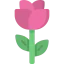 Rose 图标 64x64