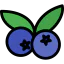 Blueberry icône 64x64