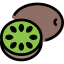 Kiwi icon 64x64