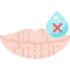 Lips icon 64x64