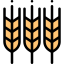 Wheat 图标 64x64
