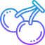 Berry icon 64x64