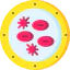 Blood cells アイコン 64x64