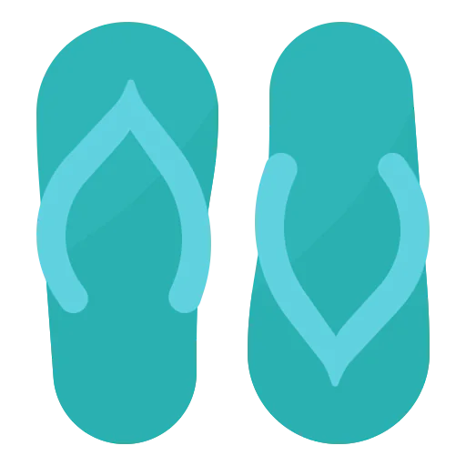 Flip flops icon