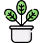 Plant Symbol 64x64