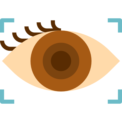 Eye scan 图标