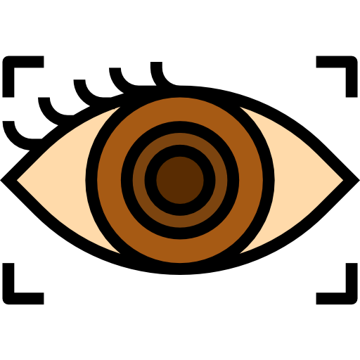 Eye scan icon