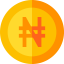 Naira icon 64x64