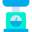 Scale icon 64x64