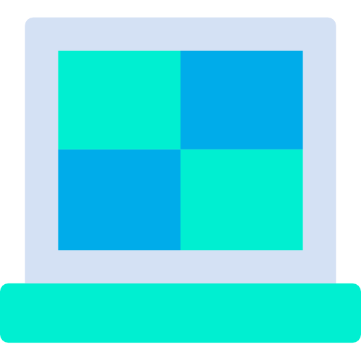 Window icon