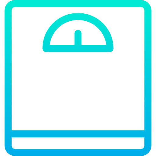 Weight icon