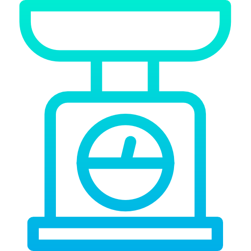 Scale icon