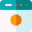 Website icon 64x64