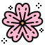 Sakura icon 64x64