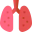 Lungs icon 64x64