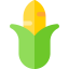 Corn 图标 64x64