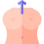 Breasts 图标 64x64