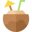 Coconut drink іконка 64x64