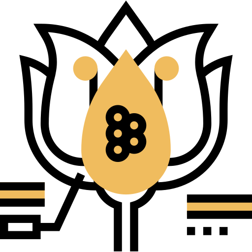 Ovule 图标