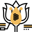 Ovule icon 64x64