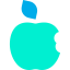 Apple 图标 64x64