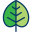 Leaf アイコン 64x64