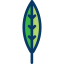 Leaf Symbol 64x64