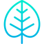Leaf ícono 64x64