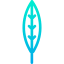Leaf ícono 64x64