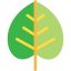 Leaf ícono 64x64