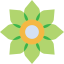 Flower ícono 64x64