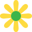 Flower ícono 64x64