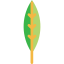 Leaf іконка 64x64