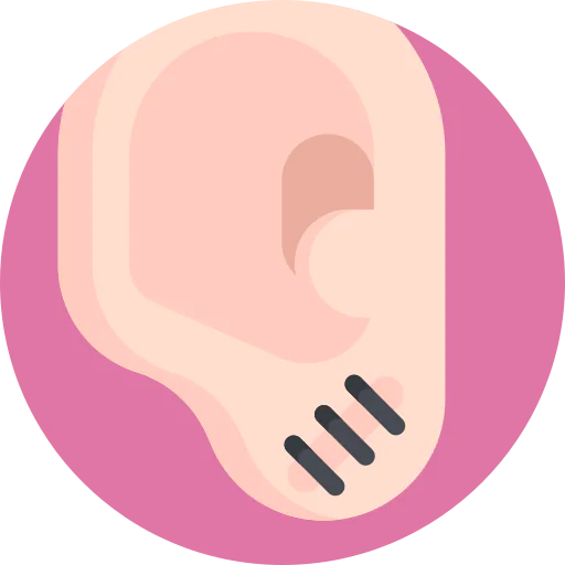 Ear icon