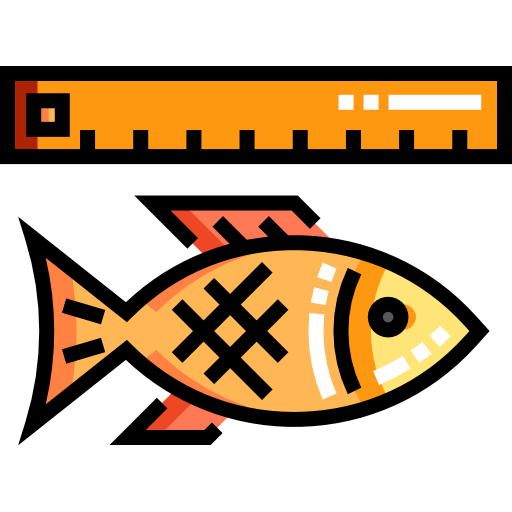 Fish 图标