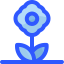 Flower icon 64x64