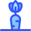 Carrot icon 64x64