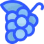 Grape icon 64x64