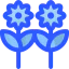 Sunflowers icon 64x64
