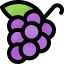 Grape アイコン 64x64
