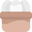Eggs icon 64x64