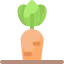 Carrot icon 64x64