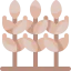 Wheat icon 64x64