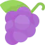 Grape icon 64x64