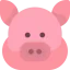 Pig icon 64x64