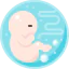 Pregnancy icon 64x64
