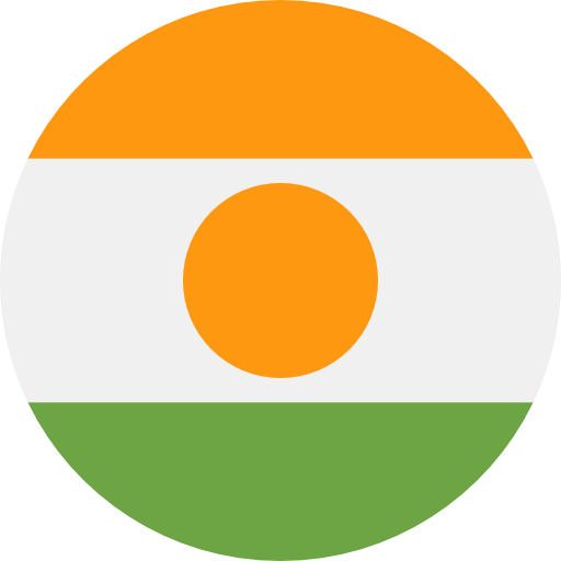 Niger icône