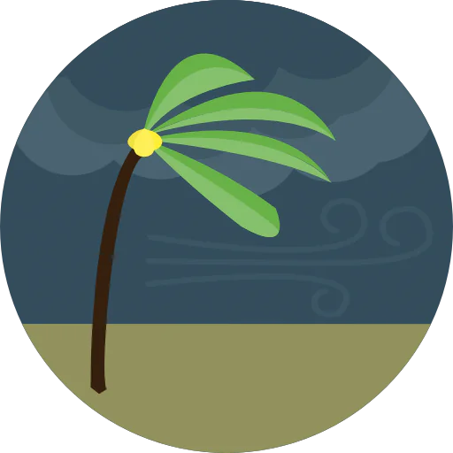 Wind icon