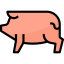 Pig Ikona 64x64
