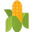 Corn icon 64x64